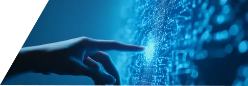 فرص تواصل مهني